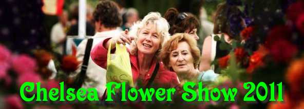 Chelsea Flower Show