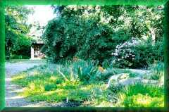 Marsh Villa Garden