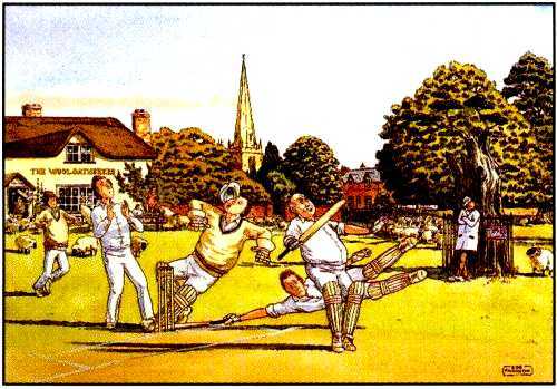 Cricket Match