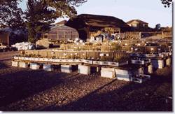 Easr Northdown
              Farm