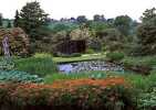Brook Cottage Gardens