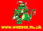 Wessex Flag