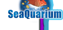 Sea Quarium