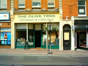 The Olive Tree