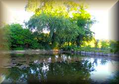 Sherbourne
                Pond