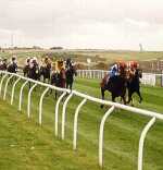 Brighton Races