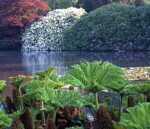 SHEFFIELD PARK GARDENS